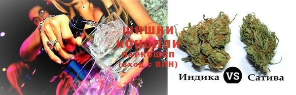 бошки Аркадак