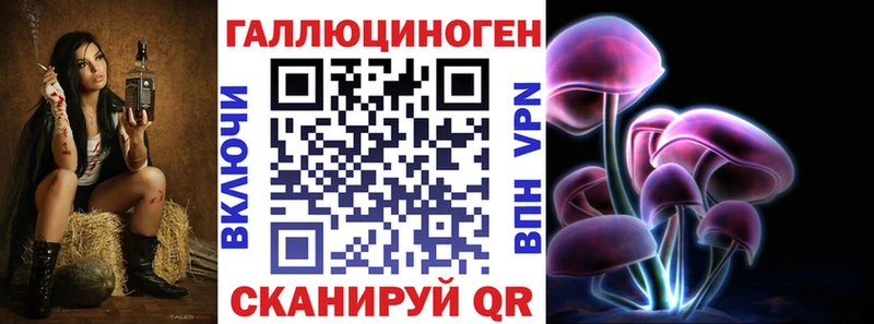 даркнет сайт Сковородино Псилоцибиновые грибы мицелий